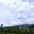  Land for sale in Mueang Kaeo, Chiang Mai, Mueang Kaeo, Mae Rim
