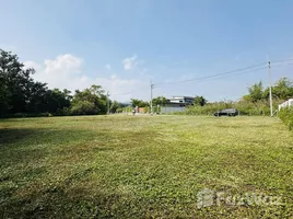  Land for sale in Huai Sai, Chiang Mai, Huai Sai, Mae Rim