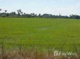  Land for sale in Lam Toiting, Nong Chok, Lam Toiting