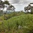  Terrain for sale in Nicoya, Guanacaste, Nicoya