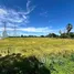  Land for sale in Khok Faet, Bangkok, Khok Faet, Nong Chok, Bangkok