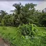  Terreno (Parcela) en venta en Ragay, Bicol, Ragay, Camarines Sur