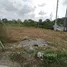  Land for sale in Calabarzon, General Trias City, Cavite, Calabarzon