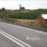  Land for sale in Chile, Ancud, Chiloe, Los Lagos, Chile