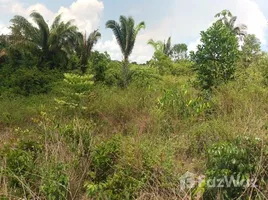  Terreno (Parcela) en venta en Pauini, Amazonas, Pauini