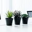 17 SqM Office for rent at BTC Space Phuket, Chalong, Phuket Town, Phuket, Thailand