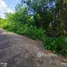  Land for sale in Khlong Ha, Pathum Thani, Khlong Ha, Khlong Luang, Pathum Thani, Thailand