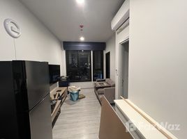 1 chambre Condominium à vendre à XT Ekkamai., Khlong Tan Nuea