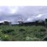  Land for sale in Costa Rica, Goicoechea, San Jose, Costa Rica