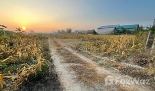 N/A Grundstück zu verkaufen in Wiang, Chiang Mai 