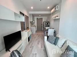 1 Bedroom Apartment for rent at Ideo Mobi Sukhumvit 81, Bang Chak