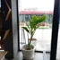 39 Bedroom Hotel for rent in Pa Daet, Chiang Mai, Pa Daet