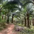  Земельный участок for sale in Kapoe, Ranong, Kapoe, Kapoe, Ranong