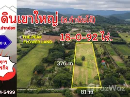 ขายที่ดิน ใน ปากช่อง, นครราชสีมา, ปากช่อง