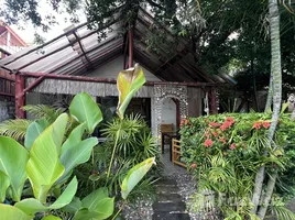 1 Schlafzimmer Haus zu vermieten im Passion Nai Harn Bungalows & Guest House , Rawai, Phuket Town