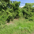  Land for sale in Uthai Thani, Sakae Krang, Mueang Uthai Thani, Uthai Thani