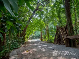 ขายที่ดิน ใน หนองทะเล, กระบี่, หนองทะเล, เมืองกระบี่, กระบี่