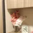 1 Bedroom Condo for rent at The Base Rise, Wichit