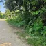  Terreno (Parcela) en venta en Tubigon, Central Visayas, Tubigon