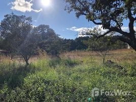  Terrain for sale in Chiriqui, Palmira, Boquete, Chiriqui