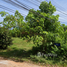  Land for sale in Thailand, Khuan Maphrao, Mueang Phatthalung, Phatthalung, Thailand