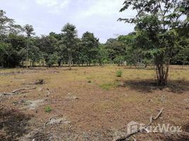  Terreno (Parcela) en venta en Costa Rica, Carrillo, Guanacaste, Costa Rica