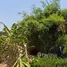  Land for sale at Baan Maneekram-Jomthong Thani, Wichit, Phuket Town, Phuket