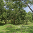  Land for sale in Kathu, Phuket, Kamala, Kathu