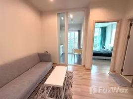 1 Bedroom Apartment for rent at The Base Downtown, Wichit, Phuket Town, Phuket, Thailand
