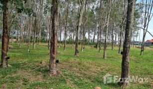 N/A Land for sale in Mai Khao, Phuket 