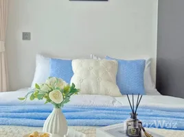 คอนโด 1 ห้องนอน ให้เช่า ในโครงการ แอทโมซ พาลาซิโอ ลาดพร้าว-วังหิน, ลาดพร้าว, ลาดพร้าว, กรุงเทพมหานคร