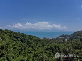  Grundstück zu verkaufen in Koh Samui, Surat Thani, Ang Thong, Koh Samui