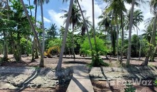 N/A Grundstück zu verkaufen in Ko Chang Tai, Trat 