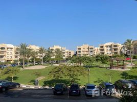3 Schlafzimmer Appartement zu verkaufen im Beverly Hills, Sheikh Zayed Compounds, Sheikh Zayed City