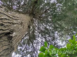  Terreno (Parcela) en venta en Costa Rica, San Rafael, Heredia, Costa Rica