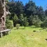 3 Schlafzimmer Villa zu verkaufen im Los Angeles San Rafael, San Rafael