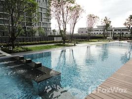 2 Schlafzimmer Wohnung zu verkaufen im Ideo Mobi Sukhumvit 81, Bang Chak