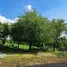 2 Bedroom Warehouse for sale in Bang Muang, Nonthaburi, Bang Muang, Bang Yai, Nonthaburi
