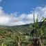  Terreno (Parcela) en venta en Costa Rica, Desamparados, San José, Costa Rica