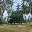  Land for sale in Koh Samui, Na Mueang, Koh Samui
