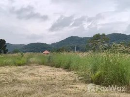 ขายที่ดิน ใน หนองสาหร่าย, นครราชสีมา, หนองสาหร่าย