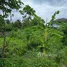  Земельный участок for sale in Bang Toei, Nakhon Pathom, Bang Toei