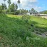  Land for sale in Koh Samui, Maret, Koh Samui