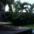 3 Schlafzimmer Villa zu verkaufen in Canggu, Bali, Canggu