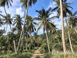 ขายที่ดิน ใน อ่างทอง, สุราษฎร์ธานี, อ่างทอง, เกาะสมุย