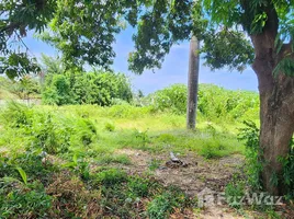 Terrain à vendre à San Felipe De Puerto Plata, Puerto Plata, San Felipe De Puerto Plata