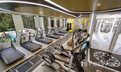 รูปถ่าย 3 of the Communal Gym at นิว คอนเน็กซ์ คอนโด ดอนเมือง