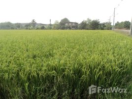  Земельный участок for sale in Sai Noi, Нонтабури, Rat Niyom, Sai Noi