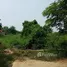  Land for sale in Ngio Rai, Taphan Hin, Ngio Rai