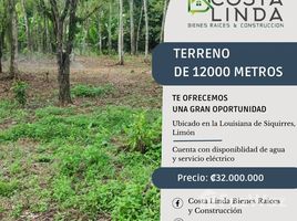  Grundstück zu verkaufen in Siquirres, Limon, Siquirres